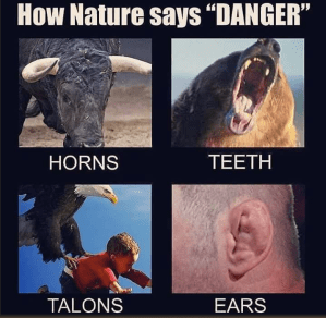 Screen Shot 2020-05-16 at 10.03.40 PM